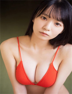 四大名捕电视剧