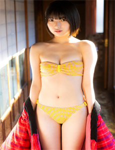 电视剧卧虎藏龙