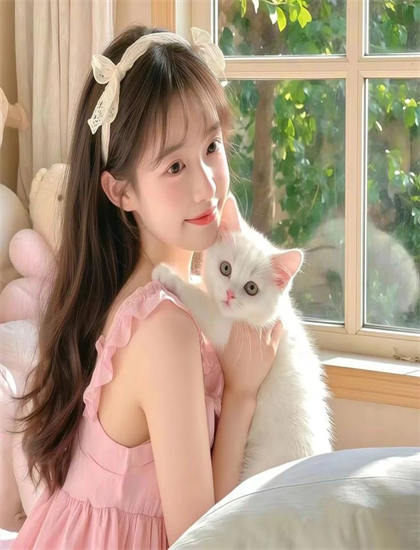 【悬疑片专题】小笨熊之木偶奇遇记的市场表现与观众反响 ——悬疑片的观影全攻略